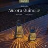 WhatsApp Image 2026-07-29 at 3.51.14 PM